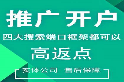 专业竞价SEM托管成功案例解析