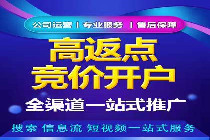 SEO策略在电商平台的成功应用案例